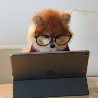 High-Tech pour poilu