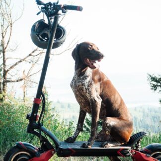 Trottinette Isinwheel GT2